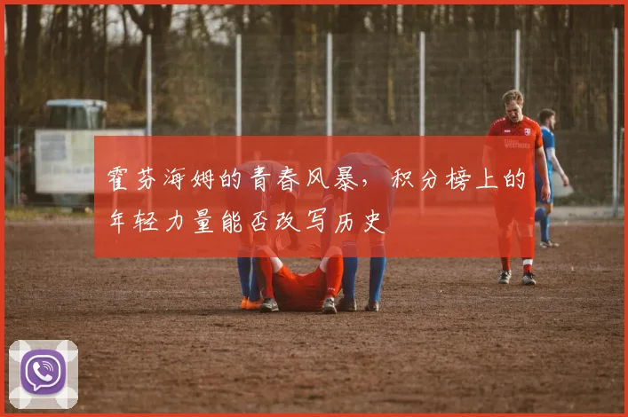 霍芬海姆的青春风暴，积分榜上的年轻力量能否改写历史
